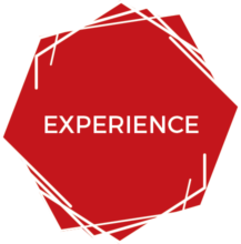 EXPERIENCE